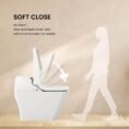 white-vovo-bidet-toilets-pb-101s-4f_1000