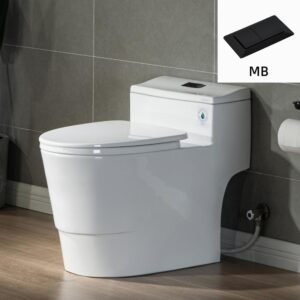 Conserver 1-Piece 1.28 GPF High Efficiency Dual Flush Elongated All-in-One Toilet in White with Seat Included
