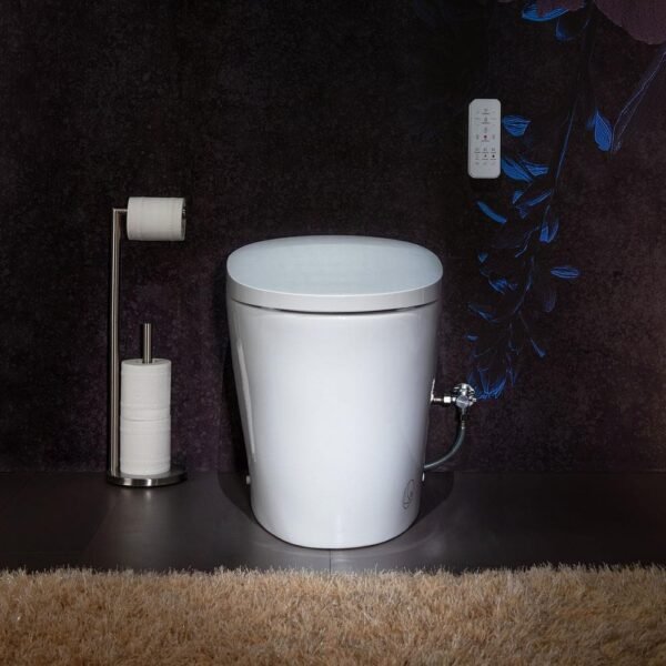 white-woodbridge-bidet-toilets-ht0066-e1_1000