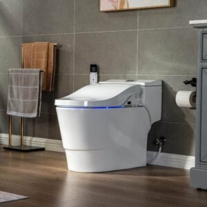 Revel One Piece 1.1GPF/1.6 GPF Dual Flush Elongated Toilet with Advance Smart Bidet Toilet in White