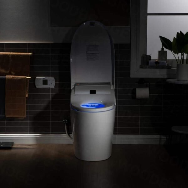 white-woodbridge-one-piece-toilets-b0960s-a0_1000