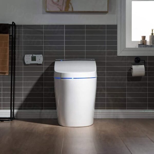 white-woodbridge-one-piece-toilets-b0960s-e1_1000