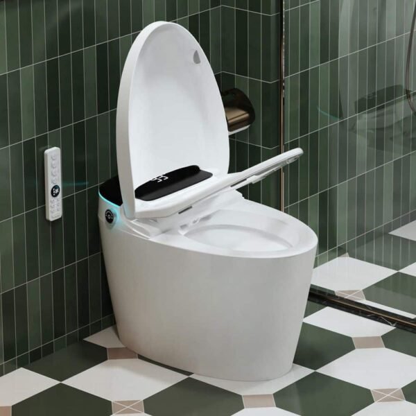 white-yulika-bidet-toilets-dj-951b-1d_1000