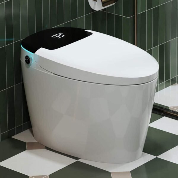 white-yulika-bidet-toilets-dj-951b-64_1000